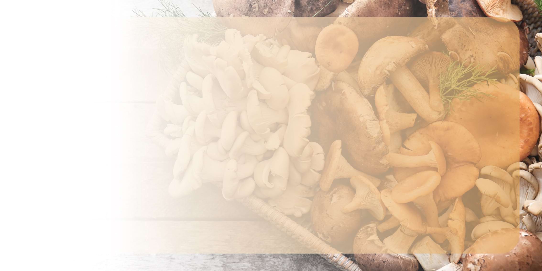 MycoActive background image