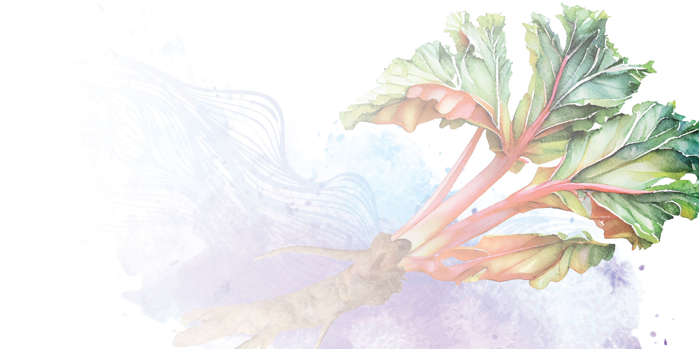 Rhubestryn background image