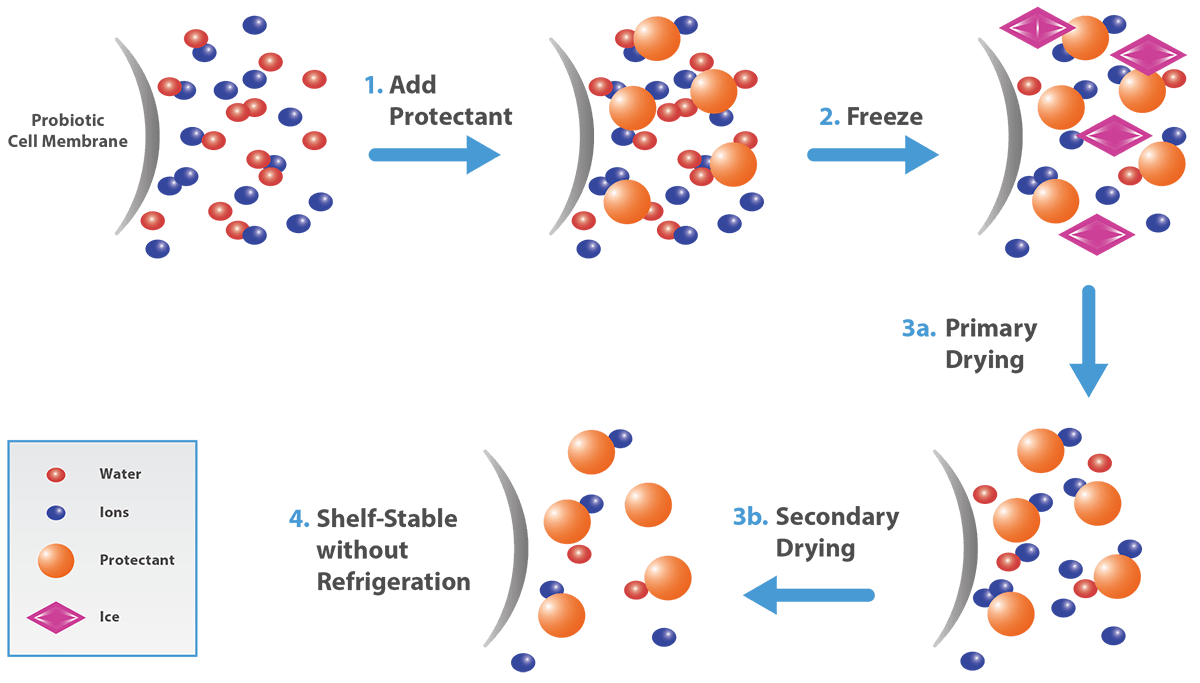 Microorganism Protection graph image