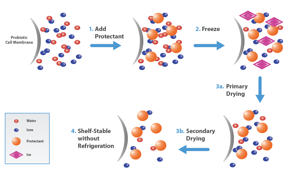 Microorganism Protection graph image