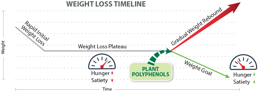 Weight Loss Timeline graph image